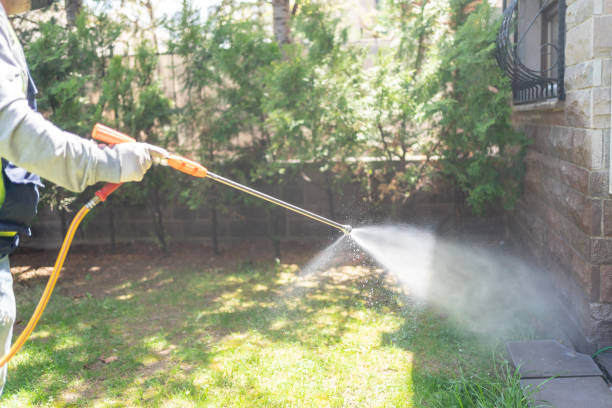 Best Seasonal Pest Control (e.g., summer mosquitoes, winter rodents)  in Keasbey, NJ